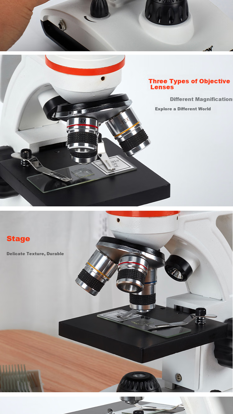 Celestron 100-250x Portable Handheld Microscope Yellow Biology Science Observation Student Educational Gift 13