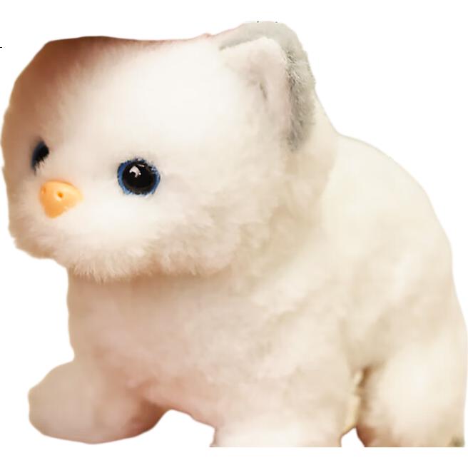 White Image 2