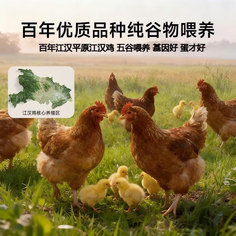 逸清源富硒绿壳鸡蛋30枚/2.4斤 无抗生素 鸡蛋京东自营 年货礼盒装