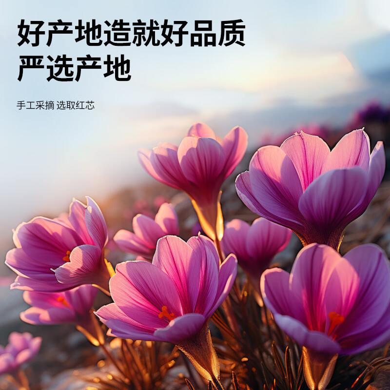 同仁堂品牌 西红花6g藏红花礼盒实用长辈礼品见家长送妈妈生日特别礼物