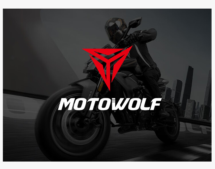 MOTOWOLF Motorcycle Riding Pants Professional Riding Gear Breathable CE Level Protective Motorcycle Casual Pants Summer Unisex 18