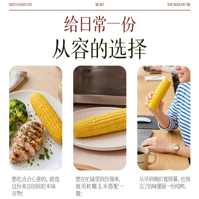 十月稻田 黄甜糯玉米 10根 4.4斤 东北甜黏玉米棒 杂粮礼盒 早餐苞米