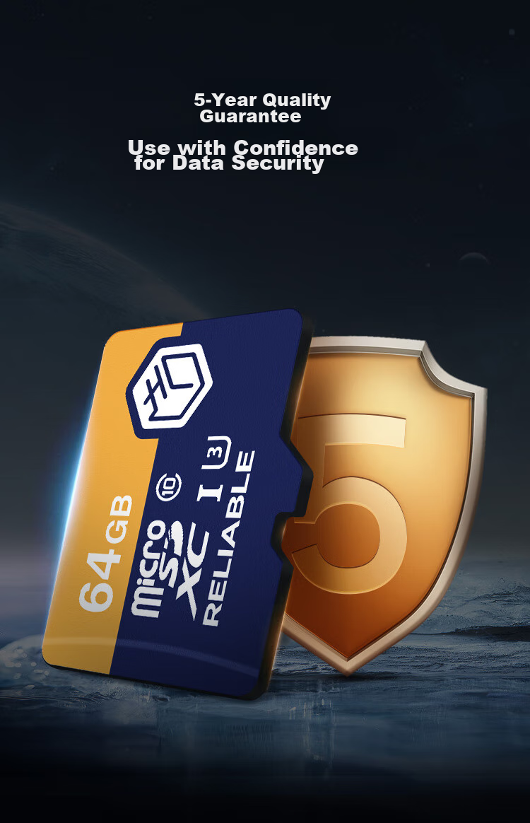 JD Original 256GB TF Memory Card, 4K Ultra HD, Gold Label Pro Series Storage Card U3V30A2, Compatible with Drones And Action Cameras, Read Speed 200MB/S 10