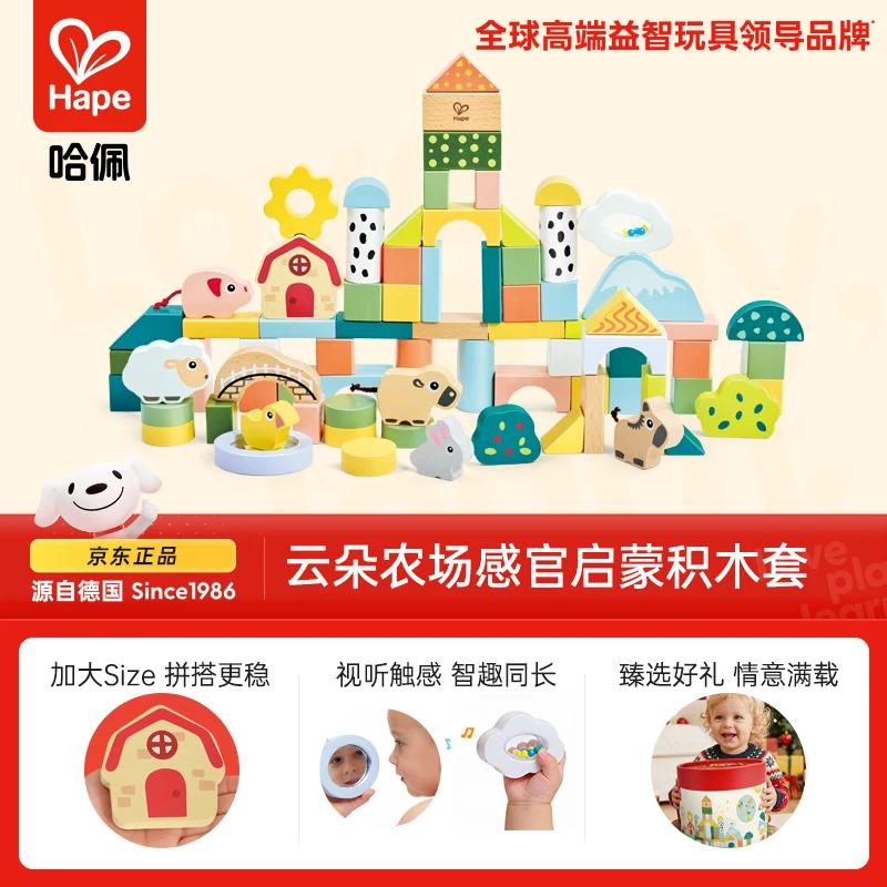 Hape Baby Wooden Toy Large Block Cloud Farm Sensory Educational Building Blocks Bucket Boys Girls Birthday Gift E7550