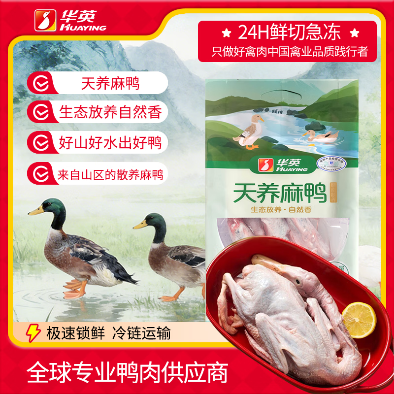 华英（HUAYING）散养麻鸭1.9斤冷冻整鸭红烧食材煲汤食材