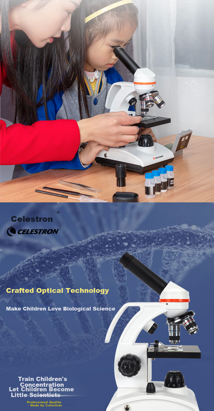 Celestron 100-250x Portable Handheld Microscope Yellow Biology Science Observation Student Educational Gift 3