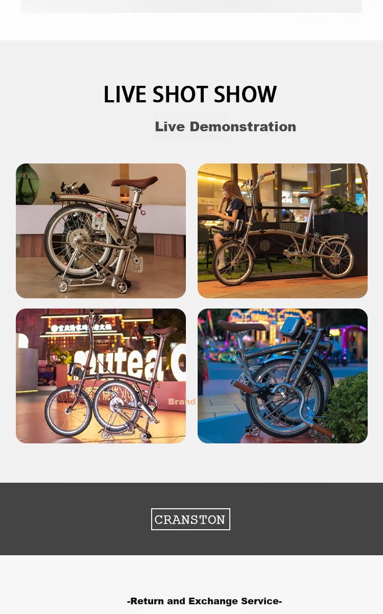 CRANSTON R9 Max Gunmetal Gray Three-Fold National Fabric Adult Ultra-Light Portable Urban Retro 9-Speed Small Fabric Folding Bike 12