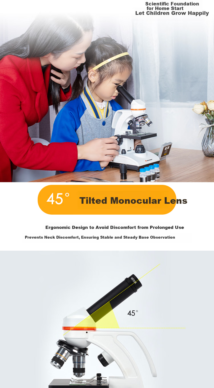 Celestron 100-250x Portable Handheld Microscope Yellow Biology Science Observation Student Educational Gift 8
