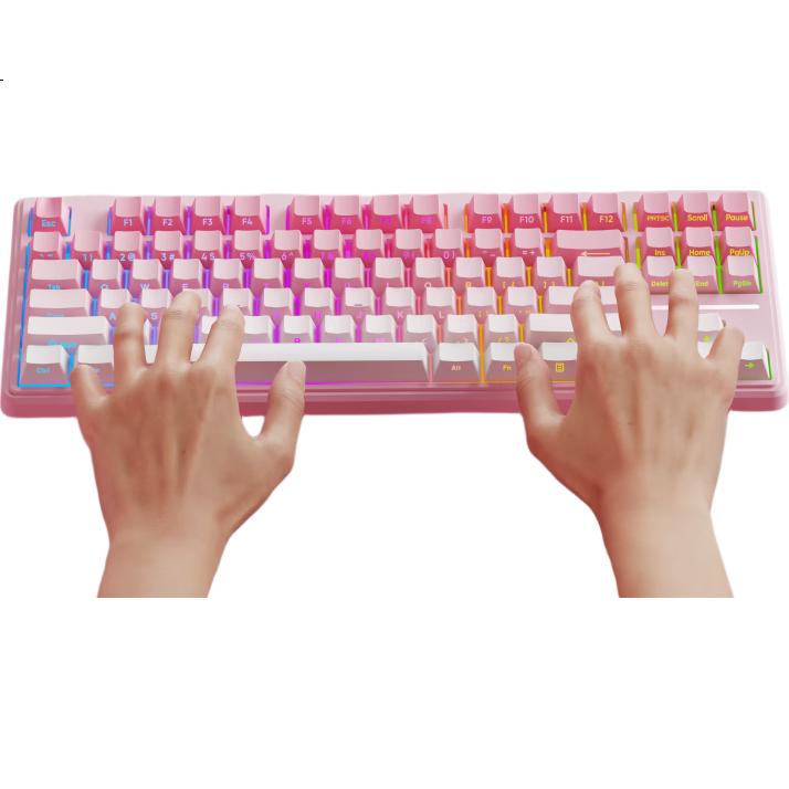 White Image 1