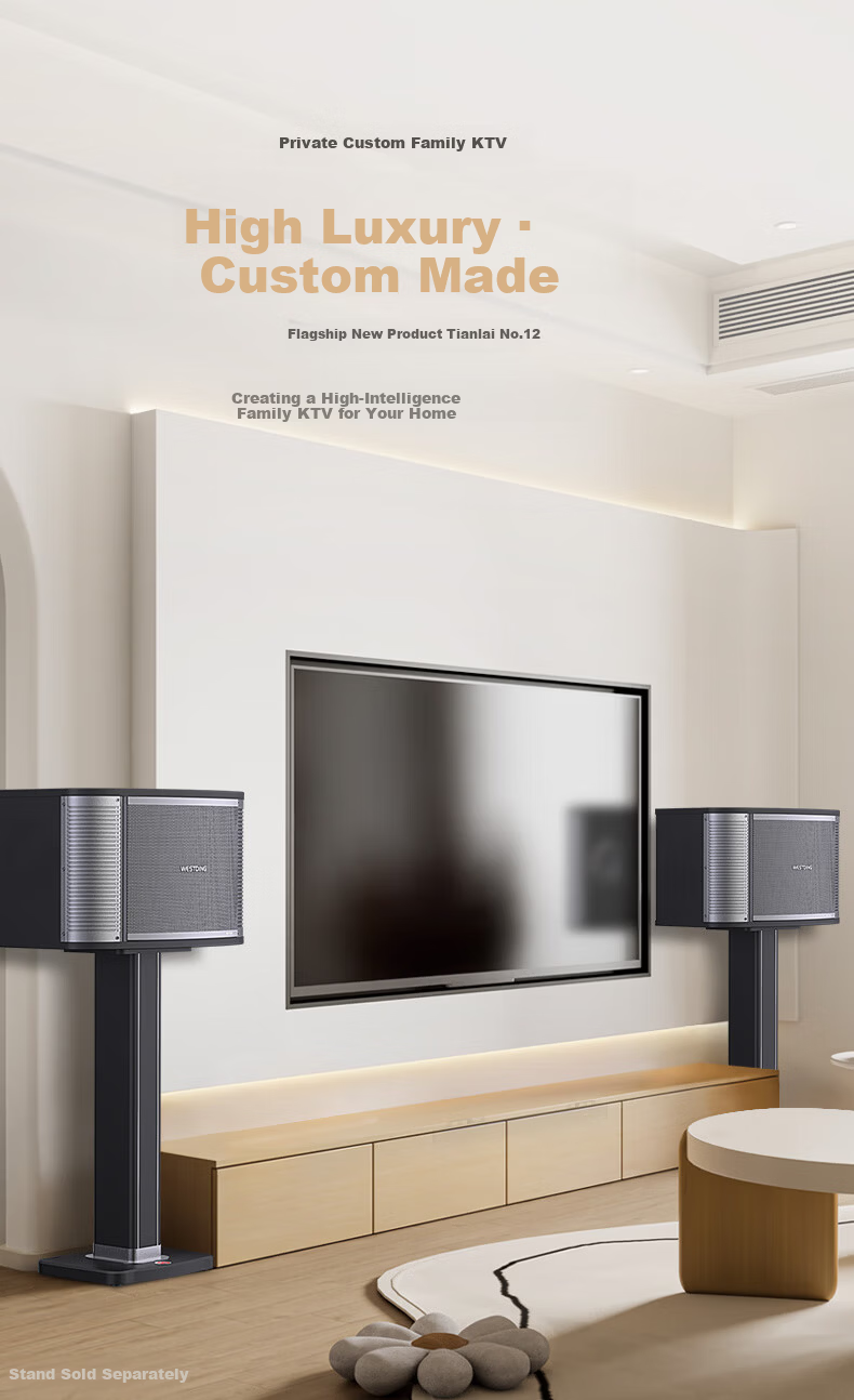 WESTDING Home KTV Karaoke Sound System Complete Set, Karaoke Theater Supermarket Home Living Room Conference Shop High-Power 12-Inch Four-Way Speaker Tianlai One Piece 1