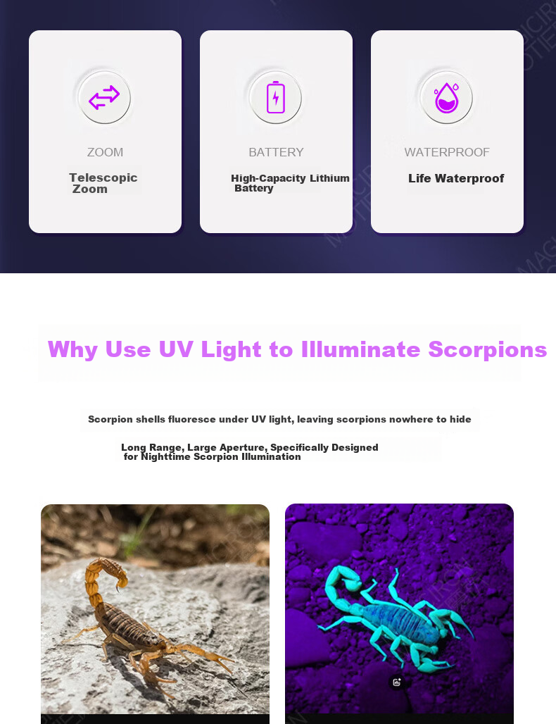 MOTIE Scorpion Flashlight Special UV Light for Scorpion Catching Outdoor Rechargeable High-Power Long-Range Torch 3