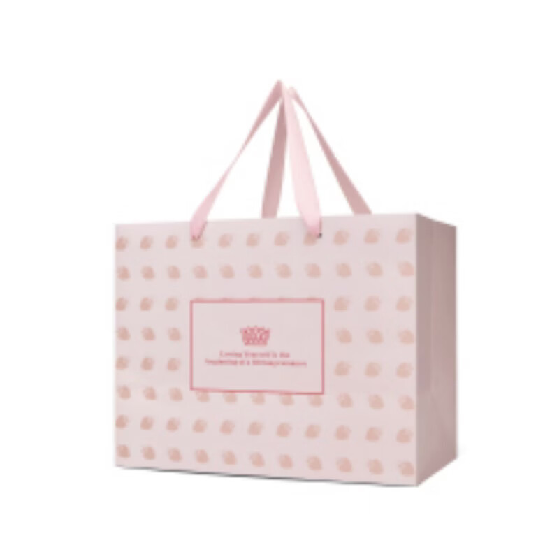St&Sat Custom Gift Bag Large Handbag Premium Gift Bag Giveaway