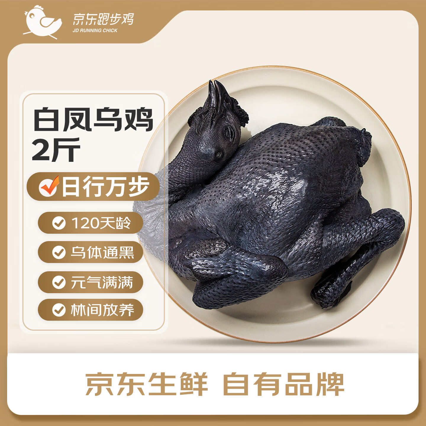 京觅京东跑步鸡 白凤乌骨鸡120天走地鸡月子餐鸡 汤滋补散养土鸡2斤