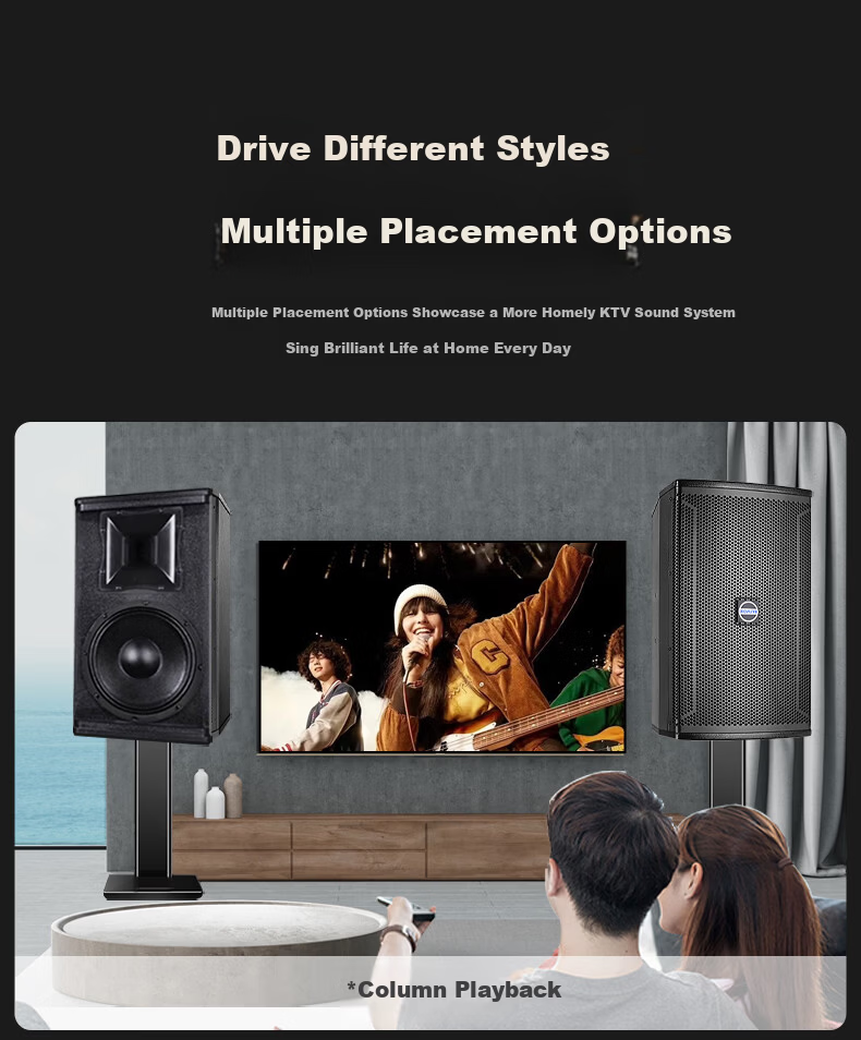 HYUNDAI Modern Home Theater KTV Passive Speaker 8-Inch Karaoke Home K-Singing Equipment Living Room Karaoke Speaker Card Speaker 9