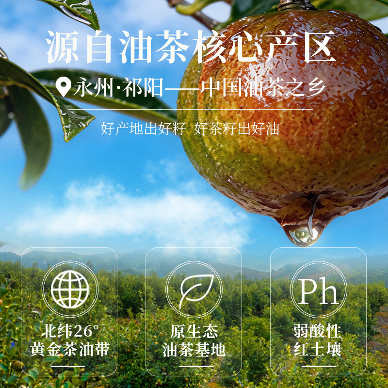 金浩（JINHAO）【保真山茶油】纯正山茶油茶籽油 248ml 一级压榨食用油