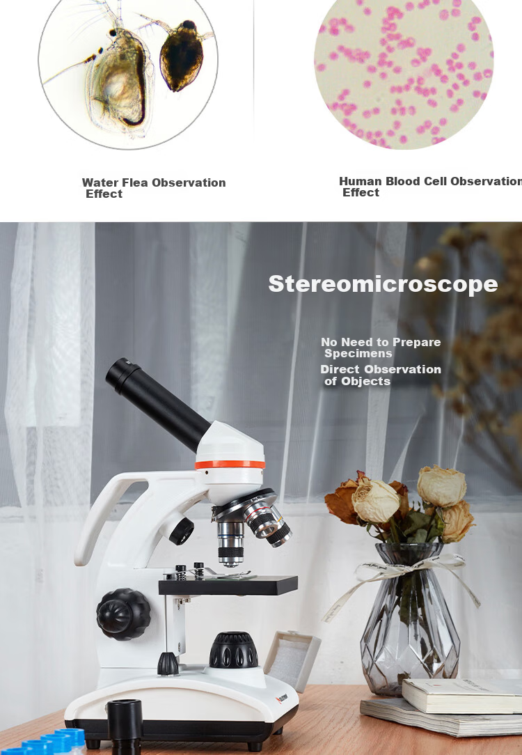 Celestron 100-250x Portable Handheld Microscope Yellow Biology Science Observation Student Educational Gift 6