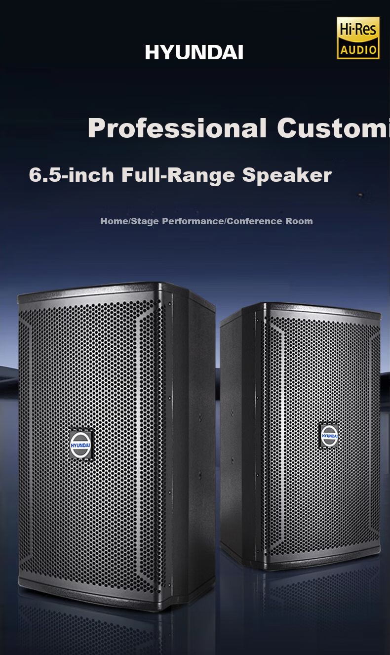HYUNDAI Modern Home Theater KTV Passive Speaker 8-Inch Karaoke Home K-Singing Equipment Living Room Karaoke Speaker Card Speaker 1