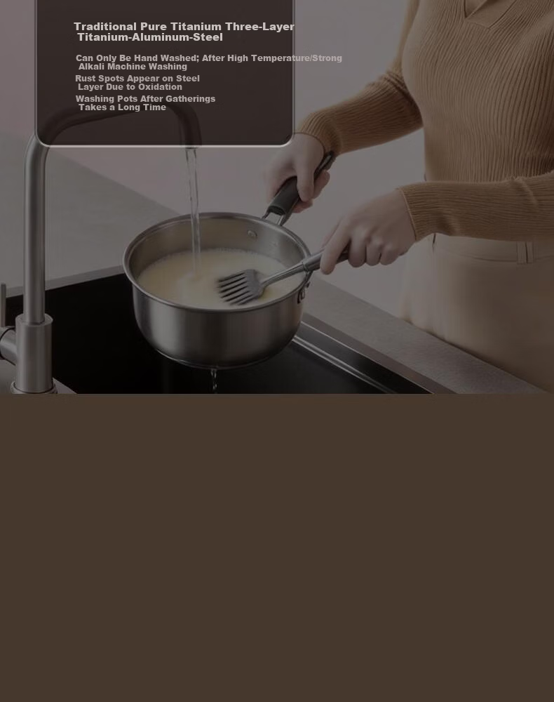 Alluflon Aluflon Pure Titanium Soup Pot Healthy 0-Fluoride Non-Coated Stew Pot Steaming Cooking Induction Gas Stove Compatible 22cm 15