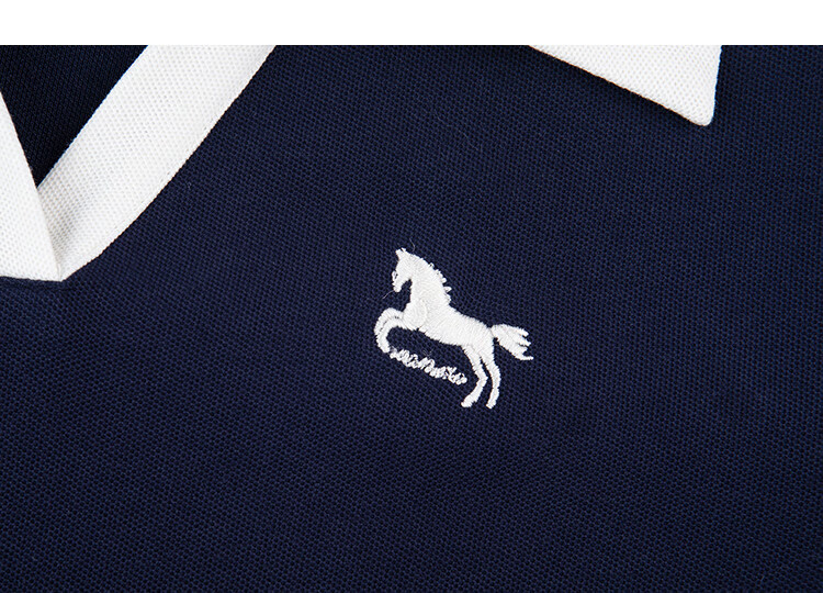 Demana [Smart Sense Academy] Summer Color-Block Spliced Embroidered Polo Collar Short Sleeve Waist-Slimming Dress for Women Premium Quality 6