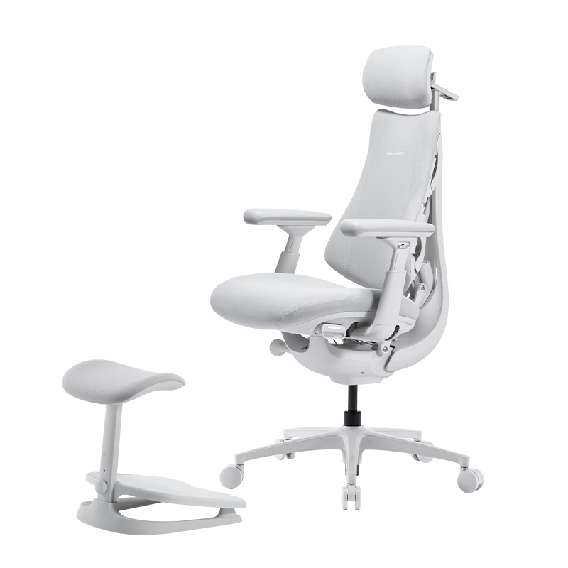 LiberNovo Omni Dynamic Ergonomic Computer Office Chair OC-1Pro Glacier White Extended Version