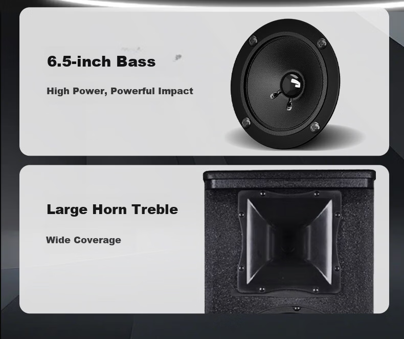 HYUNDAI Modern Home Theater KTV Passive Speaker 8-Inch Karaoke Home K-Singing Equipment Living Room Karaoke Speaker Card Speaker 5