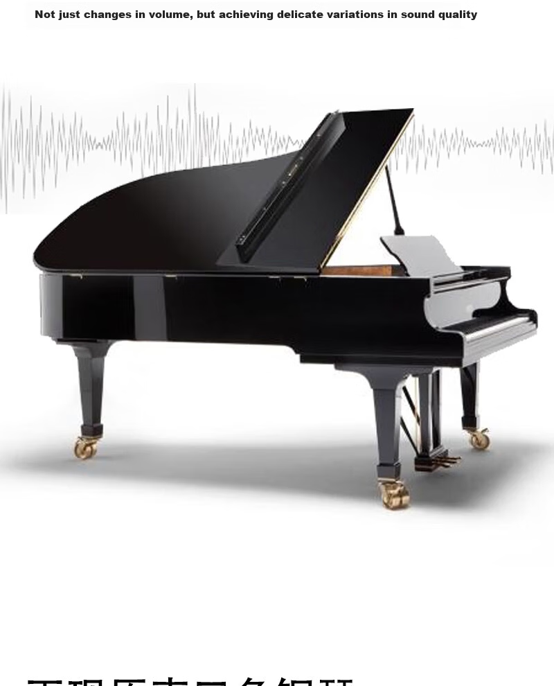 Amason Pearl River Piano Graded Digital Piano 88-Key Weighted Hammer Professional Electronic Keyboard for Adults and Children F10S Black 5