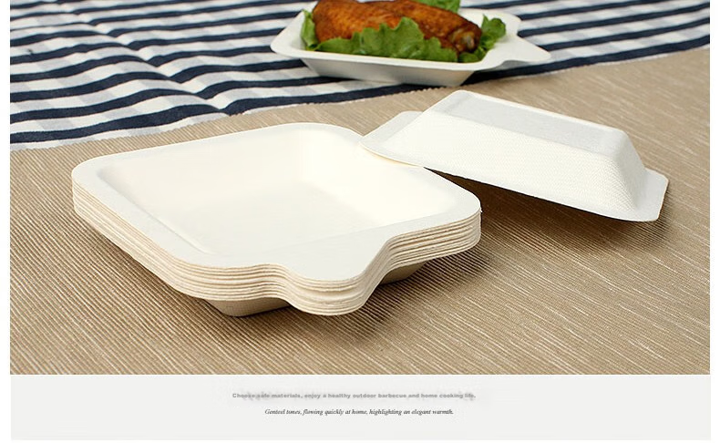 E-Rover Disposable Barbecue Paper Plates, Biodegradable Cake Paper Plates, Thickened Outdoor Barbecue Bowls, Set of 24 10