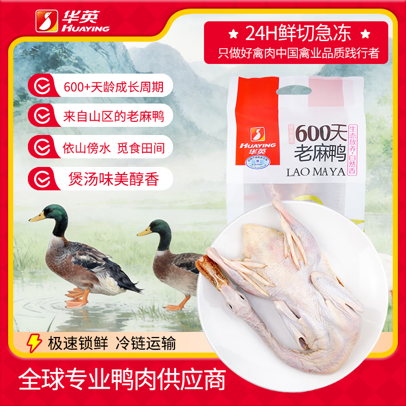 华英（HUAYING）赣南600天散养老麻鸭净重1.9斤冷冻鸭肉生鲜煲汤炖汤食材