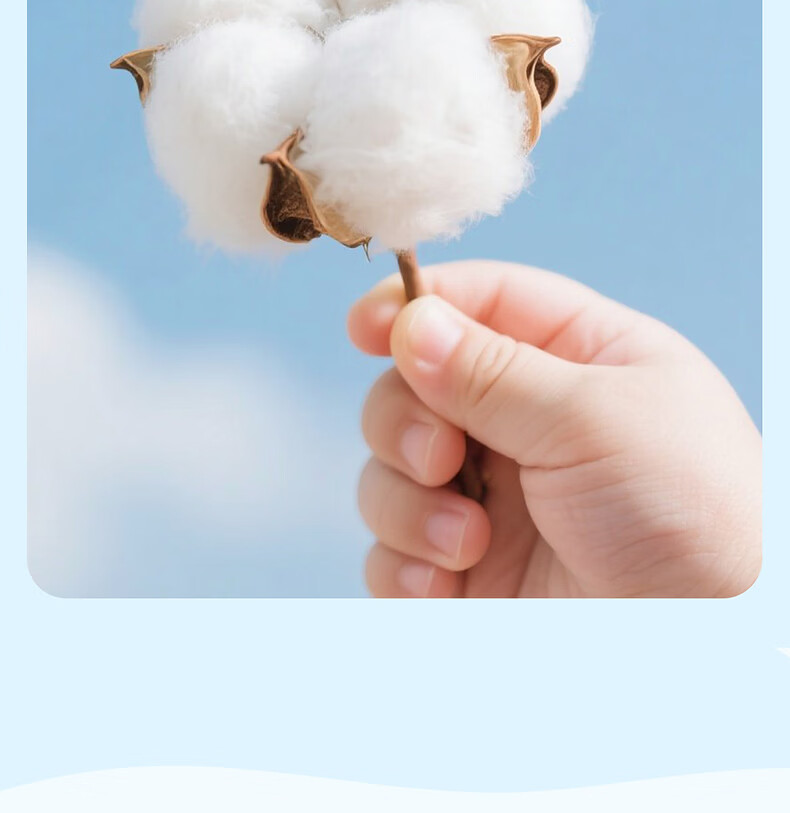 Mercury Kids 100% Cotton Pure Cotton A-Class Antibacterial Quilt Cover Single Bedding Dormitory Single 150x210cm 6