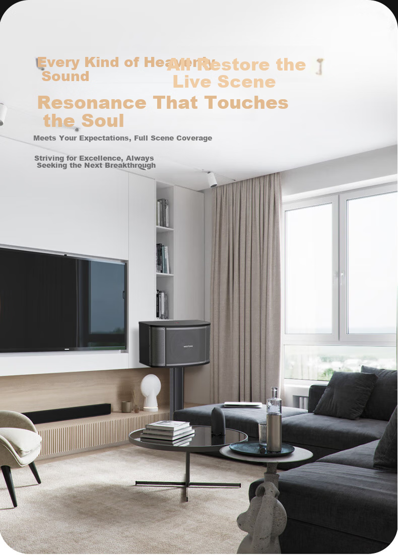 WESTDING Home KTV Karaoke Sound System Complete Set, Karaoke Theater Supermarket Home Living Room Conference Shop High-Power 12-Inch Four-Way Speaker Tianlai One Piece 3
