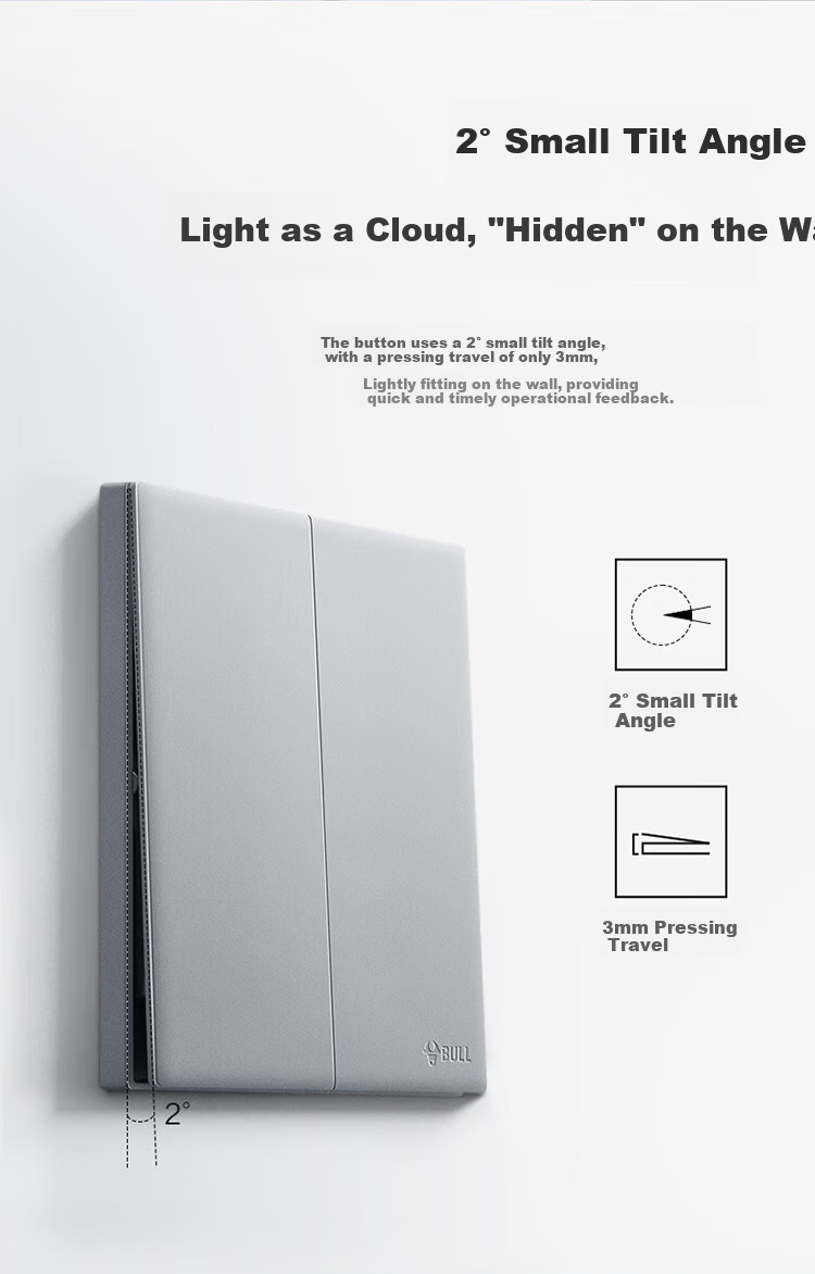 BULL G60 Series 2-Gang Cat6 Computer and TV Socket Ultra-Thin Panel G60T223 Moon Shadow Gray 5