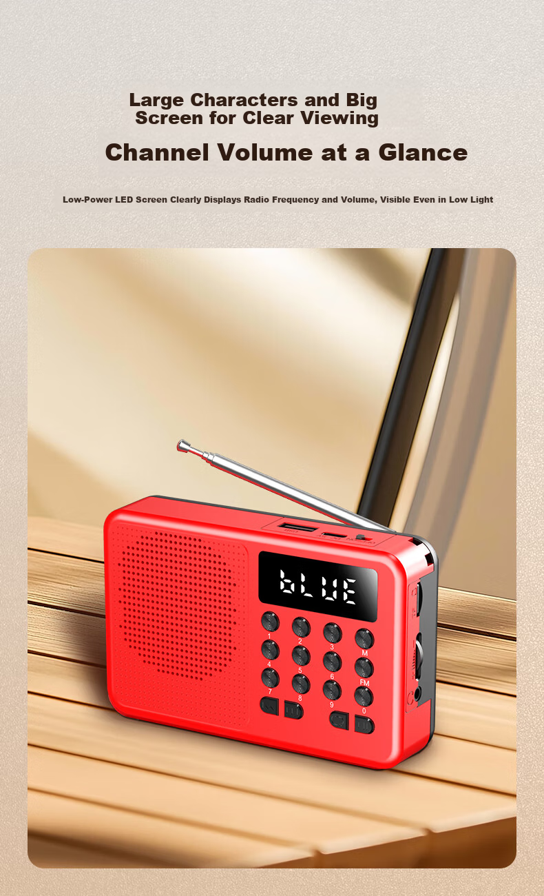 Newsmy L1 Radio Elderly Simple Rechargeable Portable Classic Small Semiconductor Broadcast Player Card Slot Mini Speaker 2025 New Model 5