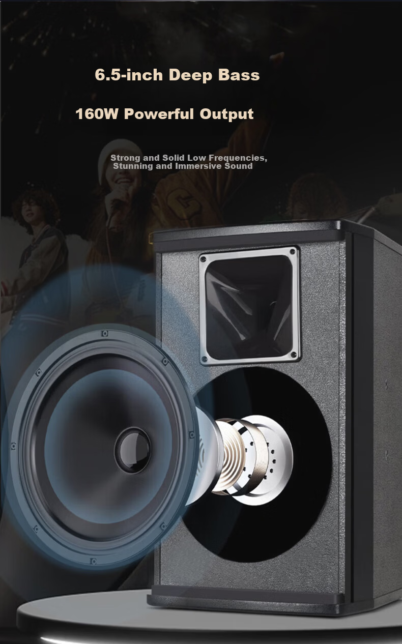 HYUNDAI Modern Home Theater KTV Passive Speaker 8-Inch Karaoke Home K-Singing Equipment Living Room Karaoke Speaker Card Speaker 4
