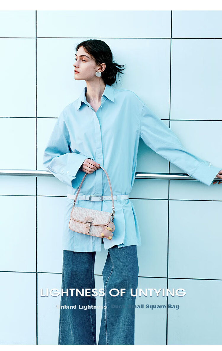 NUCELLE Women's Handbag, 2026 New Light Luxury Niche Small Square Bag, Commuter Shoulder Crossbody Ladies Purse, Birthday Gift for Wome 3
