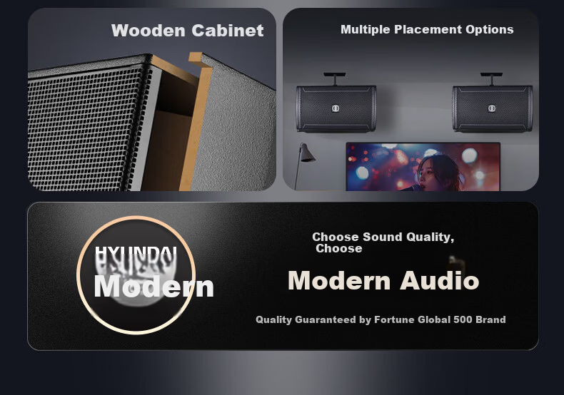 HYUNDAI Modern Home Theater KTV Passive Speaker 8-Inch Karaoke Home K-Singing Equipment Living Room Karaoke Speaker Card Speaker 3