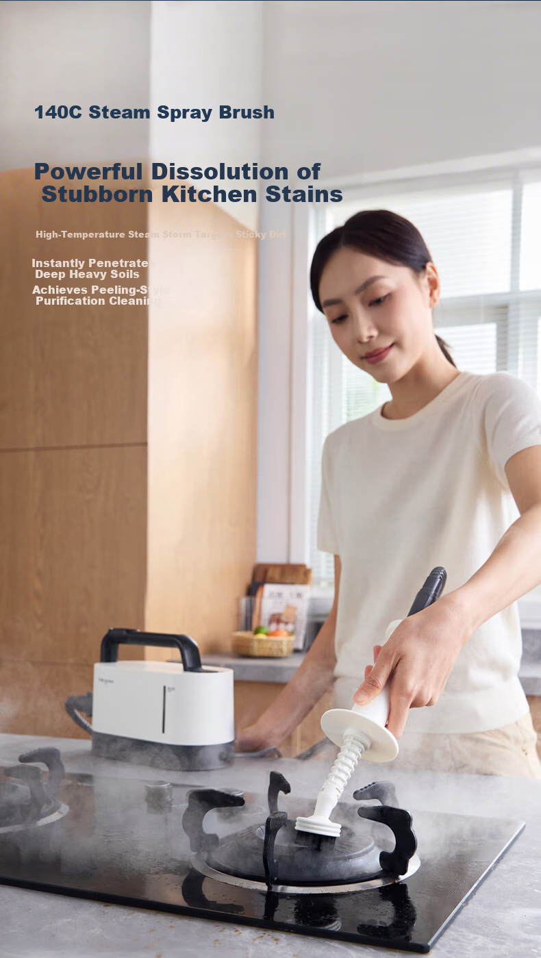 Donlim Portable Steam Cleaner High Temperature High Pressure Sterilization Mite Removal Household Kitchen Range Hood Stove Air Conditioner Carpet Multifunctional Whole House Cleaning Device DL-7940 9