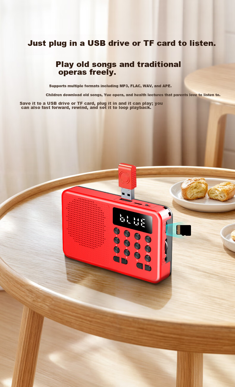 Newsmy L1 Radio Elderly Simple Rechargeable Portable Classic Small Semiconductor Broadcast Player Card Slot Mini Speaker 2025 New Model 8