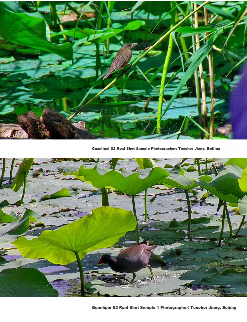 Kent【Guanlipai S2】AI Smart Binocular Telescope ED Lens Wide Field Professional Military Astronomy Birdwatching Photography 15