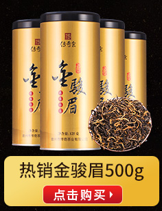 传奇会 茶叶 乌龙茶 武夷岩茶大红袍四方铁罐装500g-京东