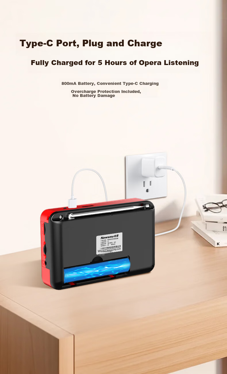 Newsmy L1 Radio Elderly Simple Rechargeable Portable Classic Small Semiconductor Broadcast Player Card Slot Mini Speaker 2025 New Model 6