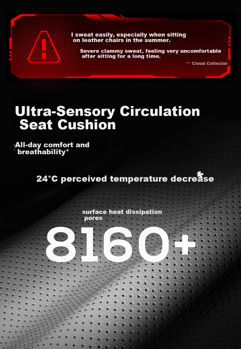 Aofeng C3Pro Black Gold Gaming Chair Ergonomic Computer Office Chair Mechanical Gaming Seat National Subsidy 3