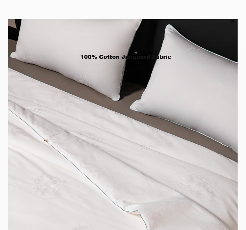 Silk Empress [Lanyu] 100% Premium Mulberry Silk Quilt Core Four Seasons Double-Layer Silk 2+4 Jin 220*240cm [White] 24