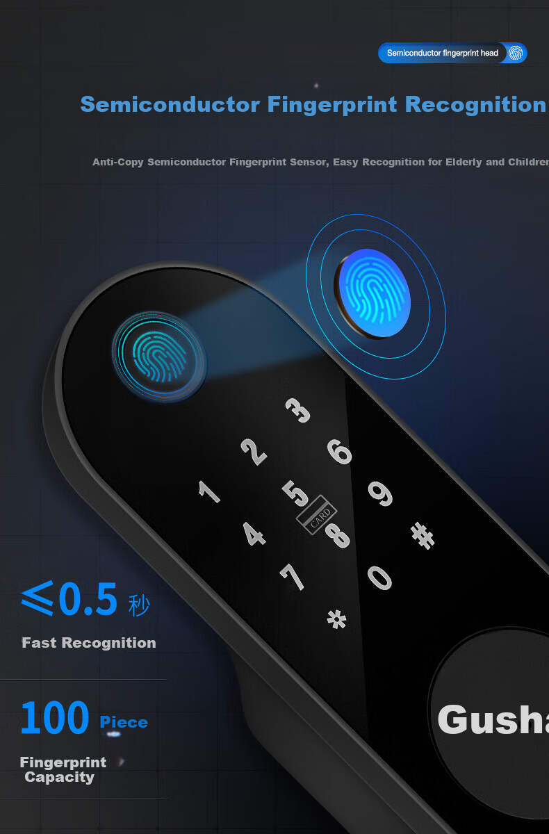 GS GSON Vintage Door Smart Lock Bull Head Lock Anti-theft Door Fingerprint Lock Rental House Rural Large Iron Door Access Control Integrated Password Lock 4