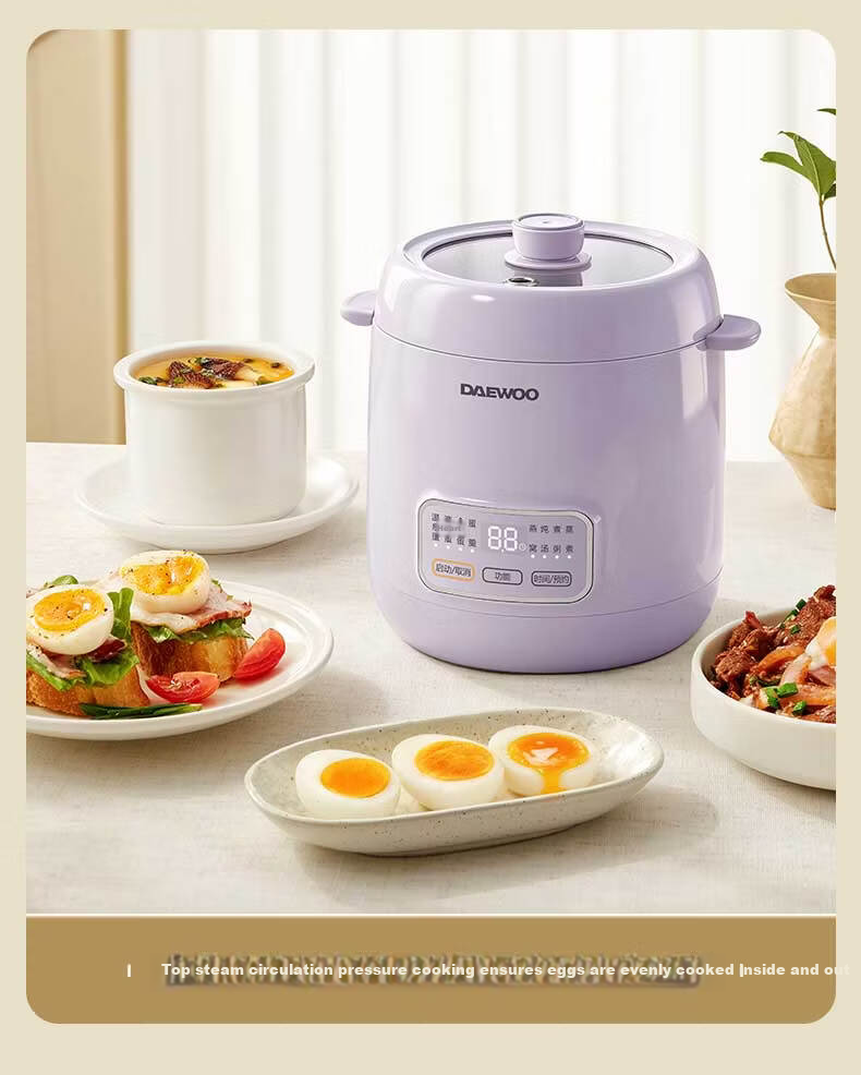 DAEWOO Electric Egg Cooker Steamer Smart Timer Auto Power Off Stainless Steel Inner Pot DZ06 4
