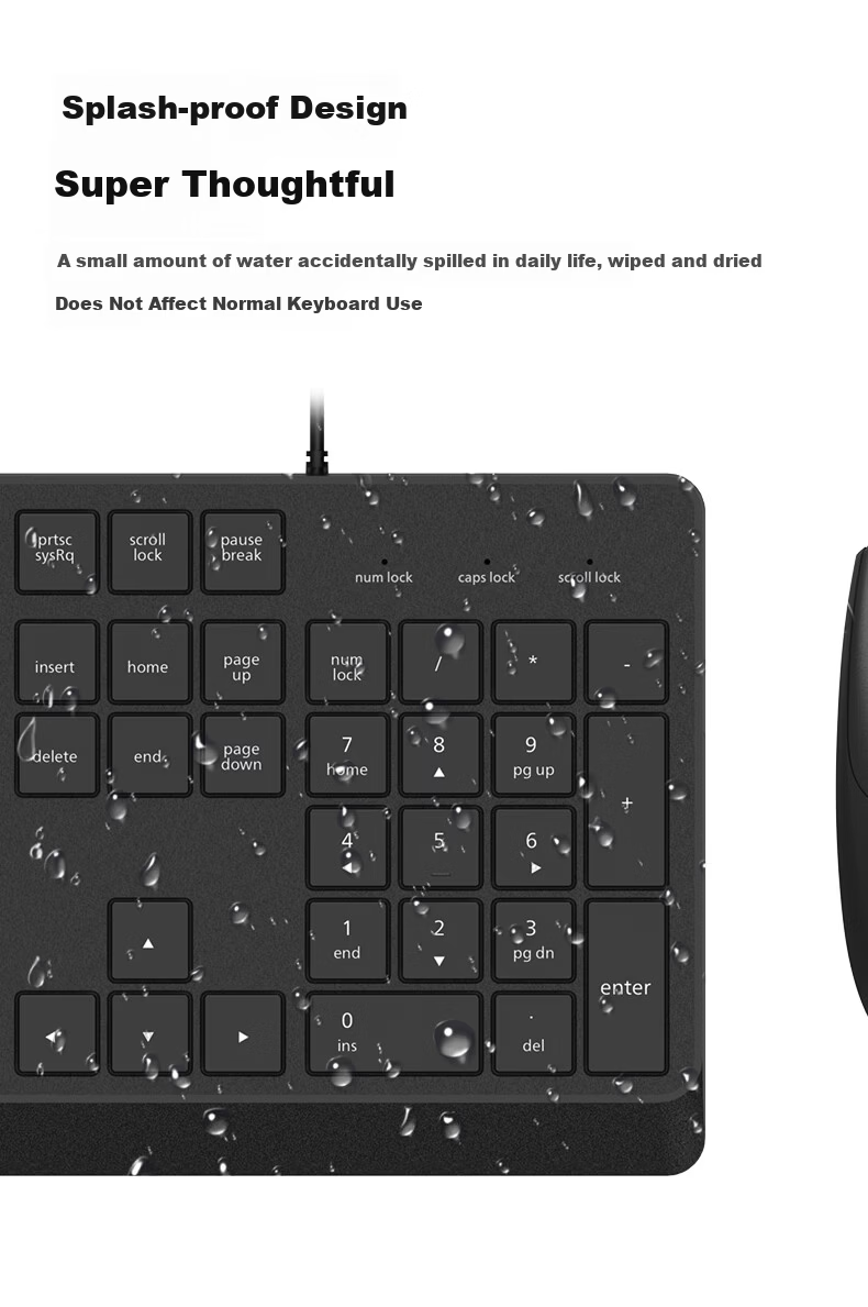 PHILIPS SPK6207 Wired Keyboard Business Office Keyboard for Desktop Computer And Laptop Universal Home Use USB Interface Ergonomic Keyboard for Corporate Procurement Black 6