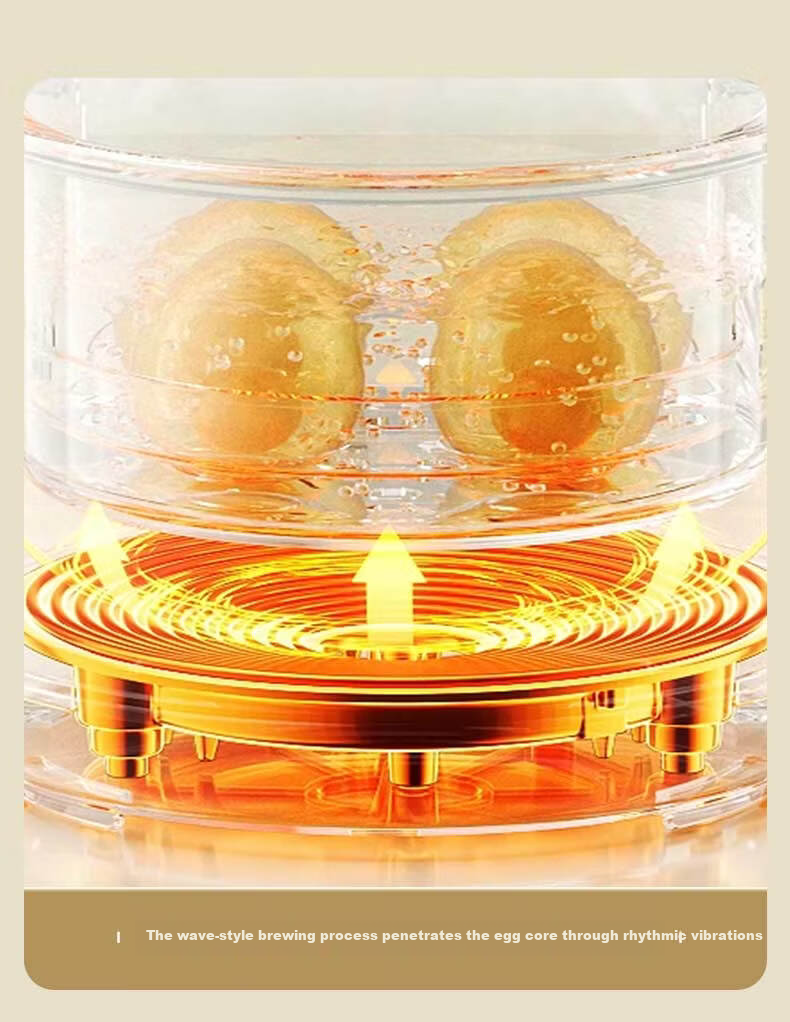 DAEWOO Electric Egg Cooker Steamer Smart Timer Auto Power Off Stainless Steel Inner Pot DZ06 3