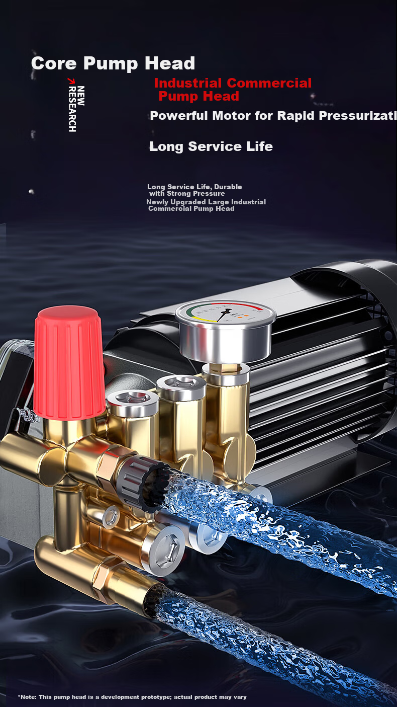 Black Cat Saint General Home Car Wash Machine 220V High Pressure Water Gun Pump High Power Car Cleaning Pump 8