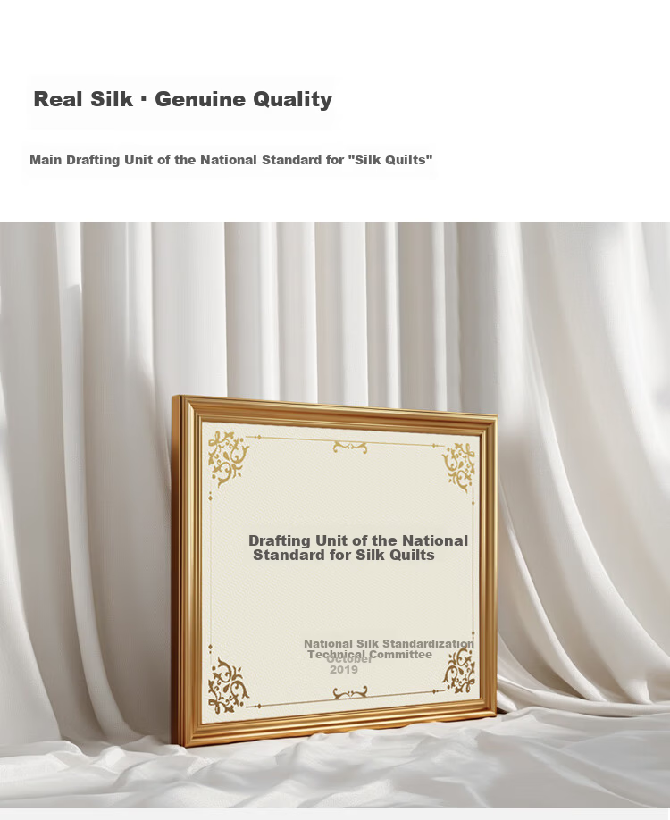 Taihuxue 100% Mulberry Silk Spring And Autumn Comforter, 2*2.3m, Pure Silk Weight 2 Jin (1 Kg), All-Cotton Core, Anti-Mite And Antibacterial Duvet Insert 2