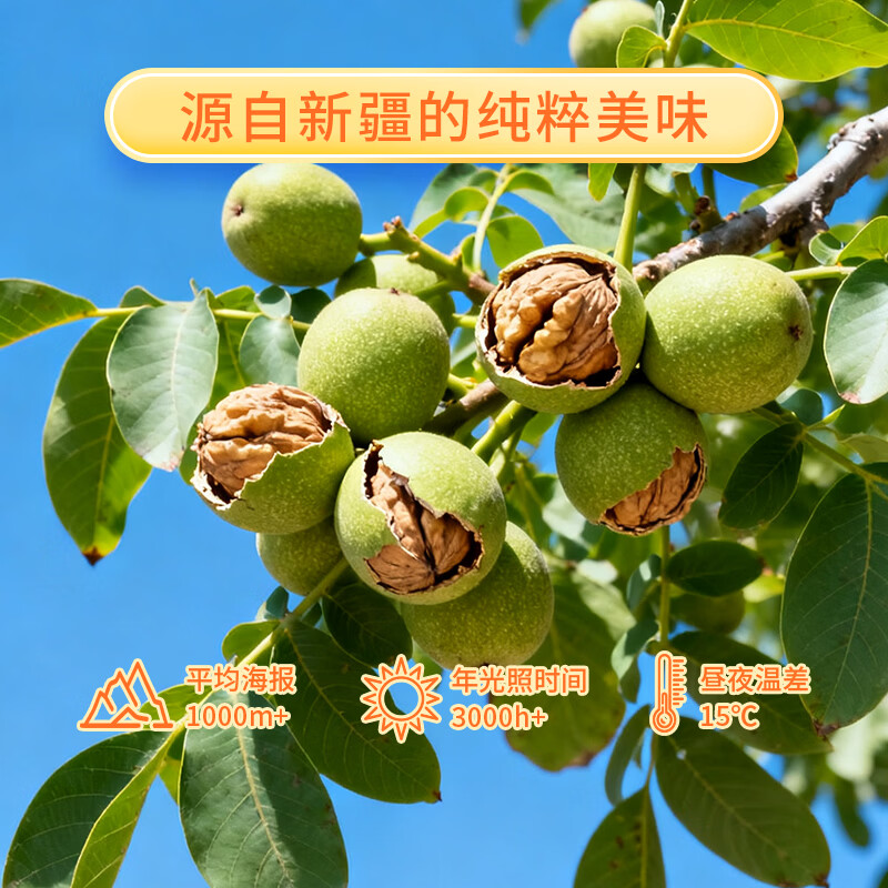 帝麦 物理冷榨核桃油 适用于儿童宝宝孕妇食用油1L热门商品