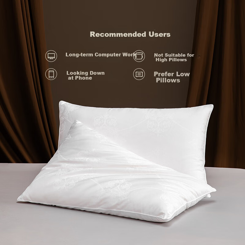 Silk Empress 100% Mulberry Silk Pillow Cervical Pillow Sleep Aid Medium-Low Height Single Home Use Comfortable Pillow Low Height